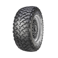 Comforser CF3000 tyre